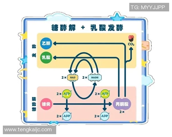 田径运动中的速度与耐力：训练方法、技术解析及运动员表现提升策略